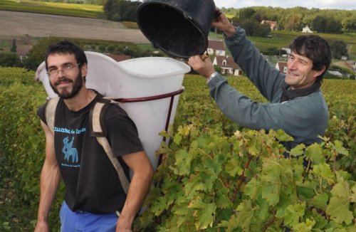 フランス新着　秋の食材に合わせたい気軽なワイン