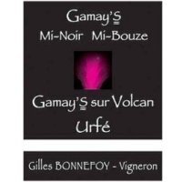 レ ヴァン ド ラ マドヌ  フォレ　ルージュ　’’ガメイズ　ミ　ノワール　ミ　ブーズ　IGP　ウルフェ　2020　サンスフル（赤）