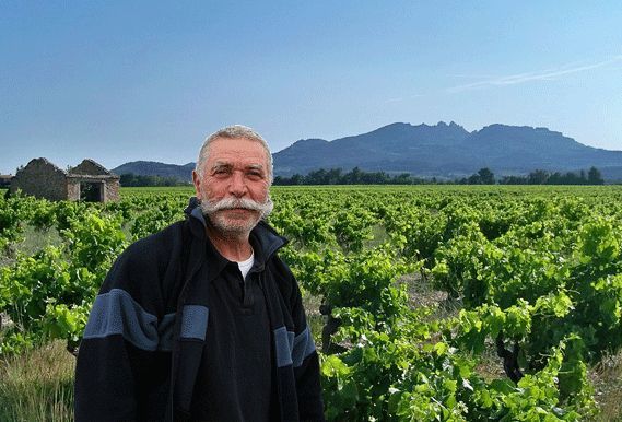 フランスワイン限定入荷　伝統の畑でつくられたヴァケラス