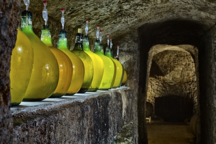 古代の土地からモダンなナチュラルワインを造る