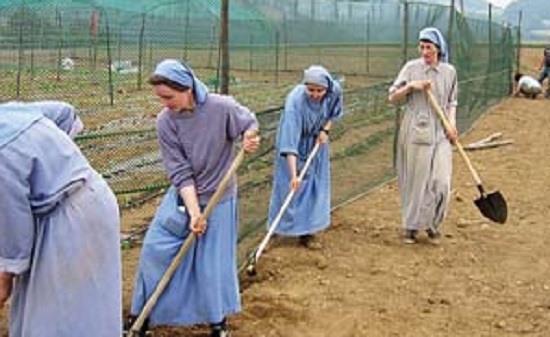 画像: 修道女の造るワイン